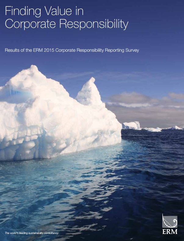 the narrow view of corporate responsibility the narrow view of corporate responsibility