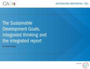 Image result for The Sustainable Development Goals, integrated thinking and the integrated report
