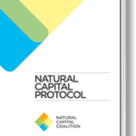 Natural Capital Protocol launched