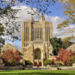 Yale announces collaboration with WBCSD to improve corporate reporting