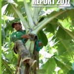 Sustainability Report 2017
