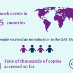 The GRI Standards: One year on