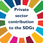 Reporting on the SDGs: measuring today’s contributions and educating tomorrow’s leaders