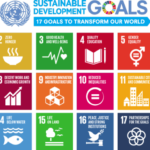 sdgs