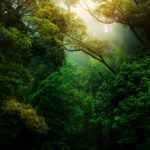 kunal-shinde–f0YLss50Bs-unsplash