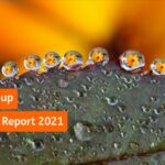 2021 Annual Report