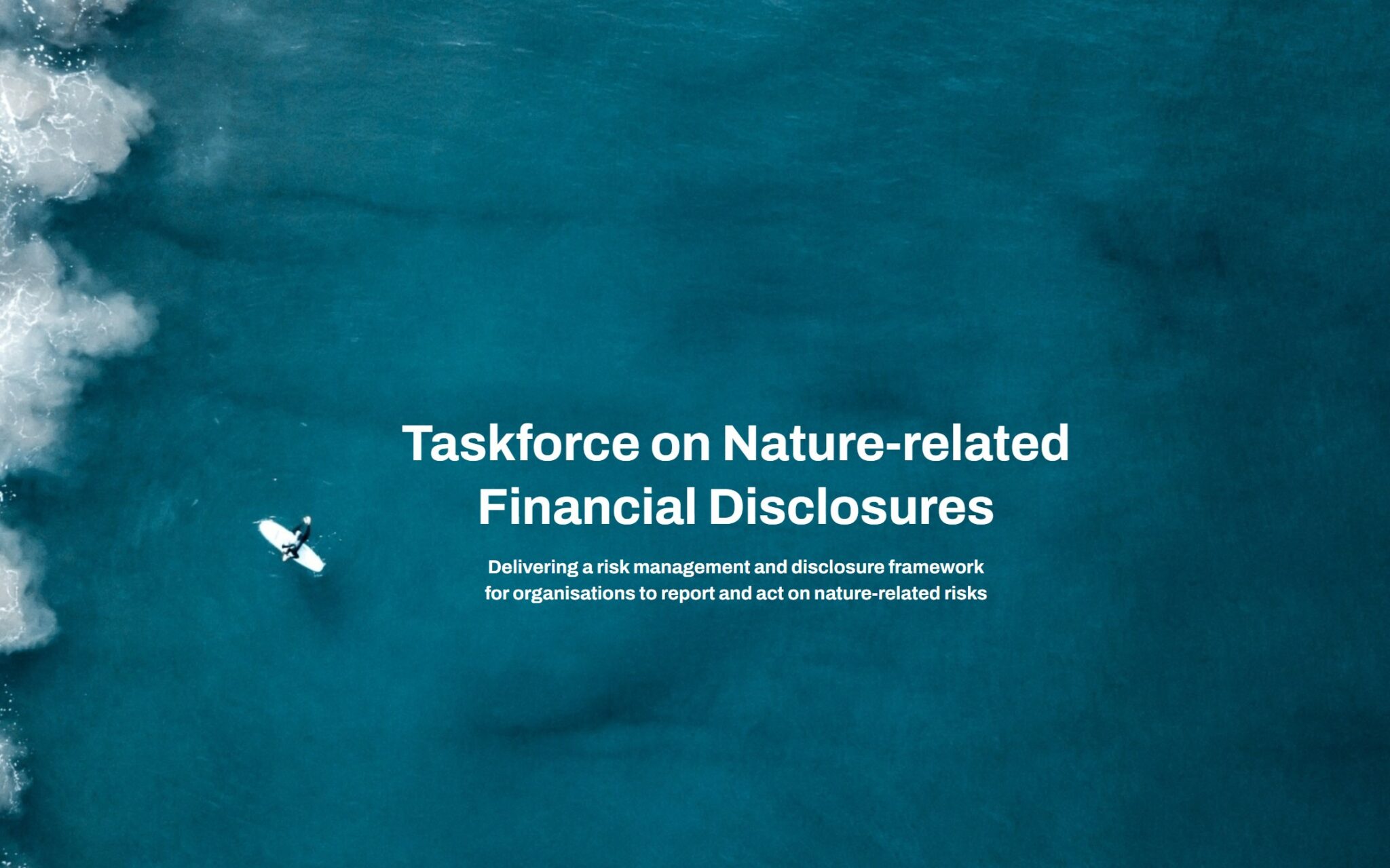 TNFD expands engagement activities to support nature-risk framework ...