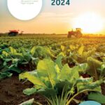 CSR Report 2024