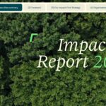 Impact Report 2024