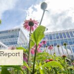Annual Report 2025